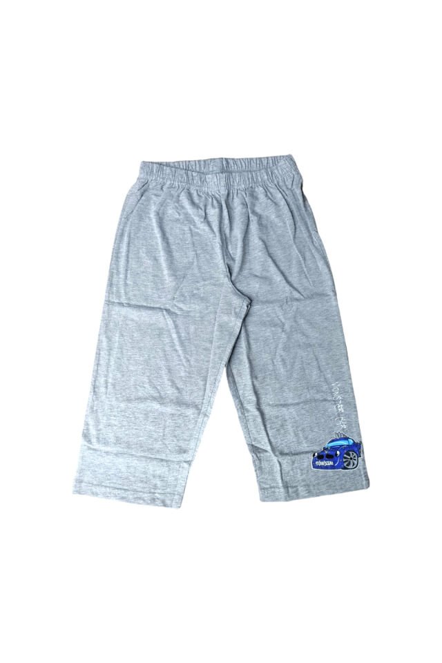 Rolypoly Erkek Çocuk Monster Car Şortlu Yazlık Takım