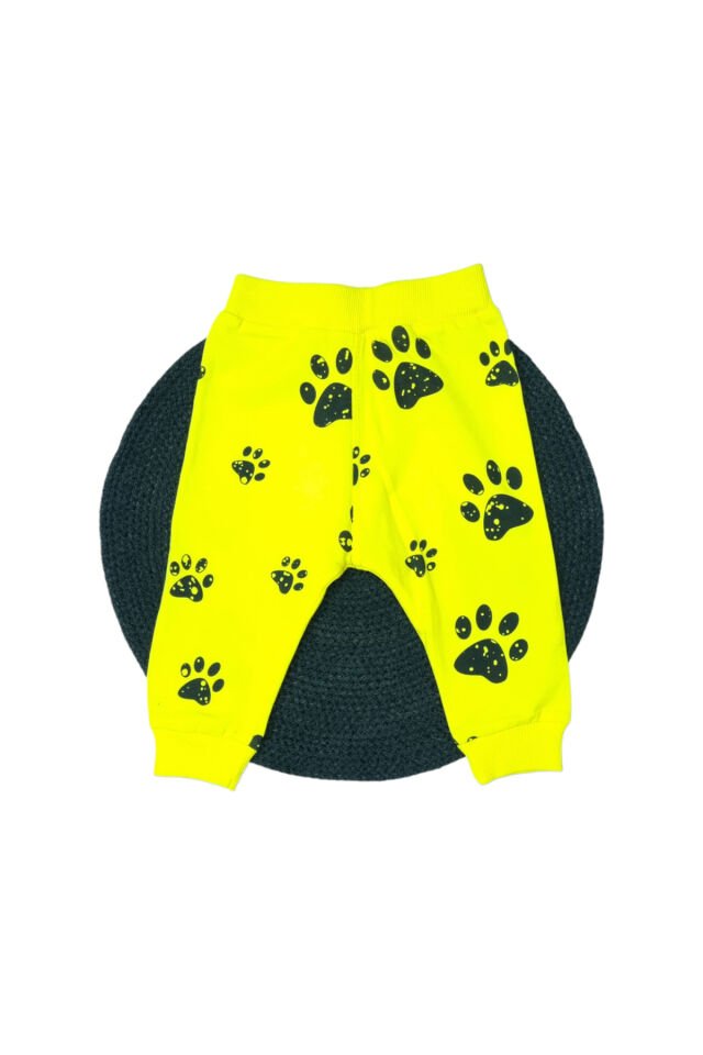 Pelops Erkek Bebek Spor Eşofman Takım Sarı - 6-9 Ay